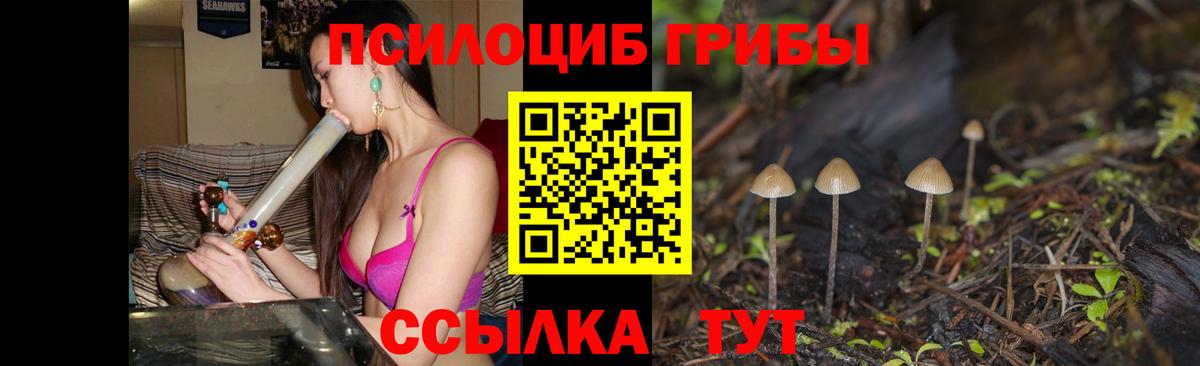 Губкинский  купить   Вход с VPN  Псилоцибиновые грибы Magic Shrooms  Галлюциногенные грибы GOLDEN TEACHER 